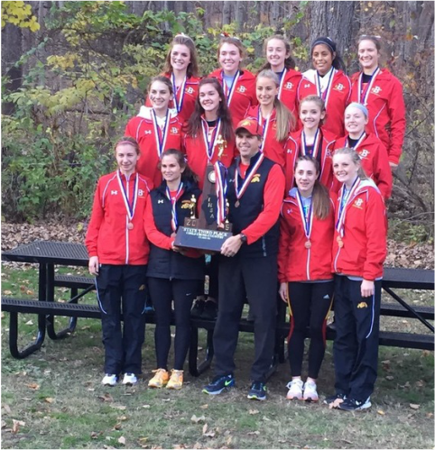 Girls’ cross country places third in IHSA State Meet