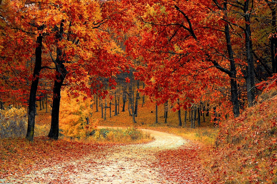 Six reasons why fall season is amazing