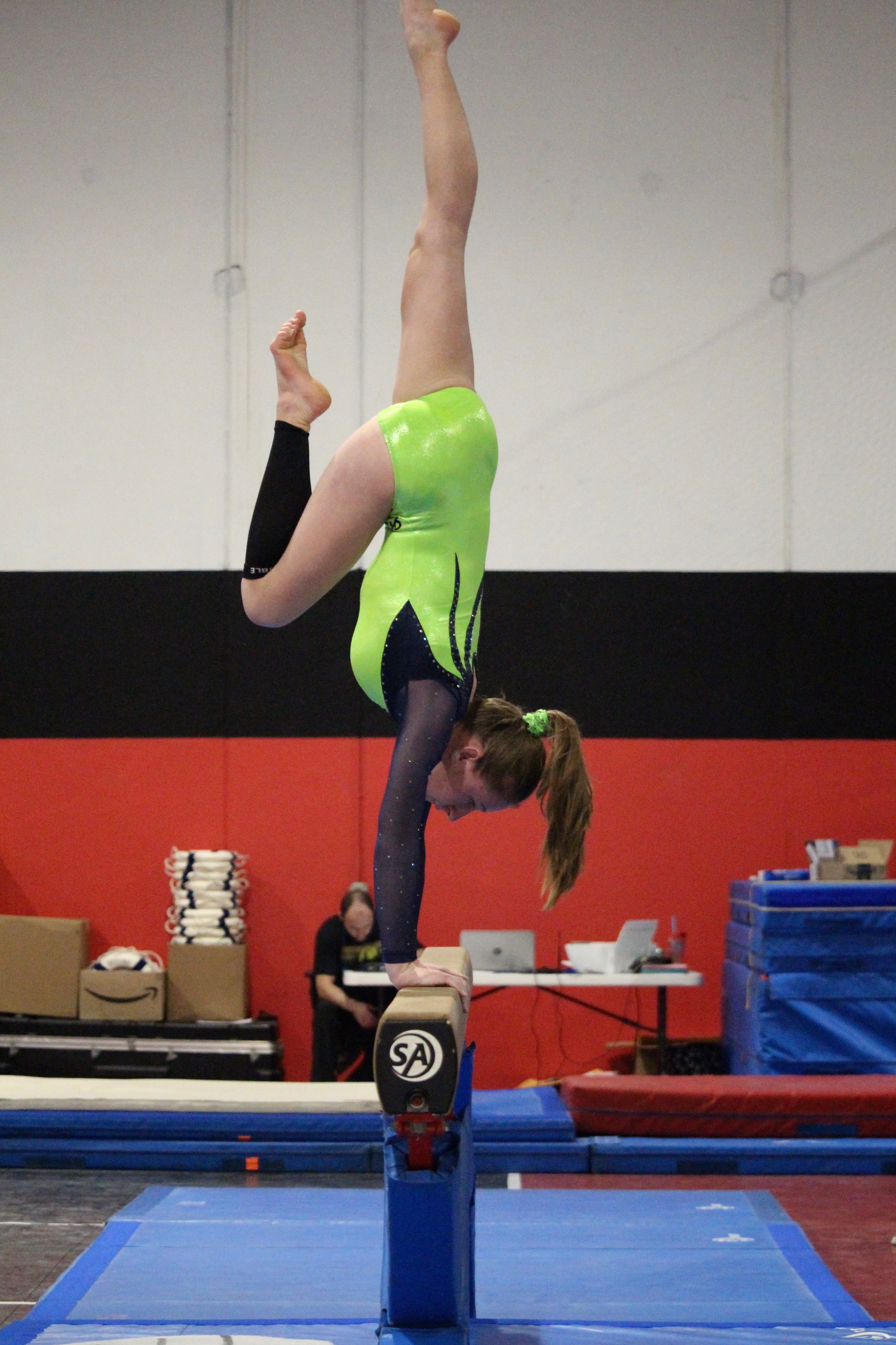 Taylor Novotny: Gymnast’s journey to sectionals