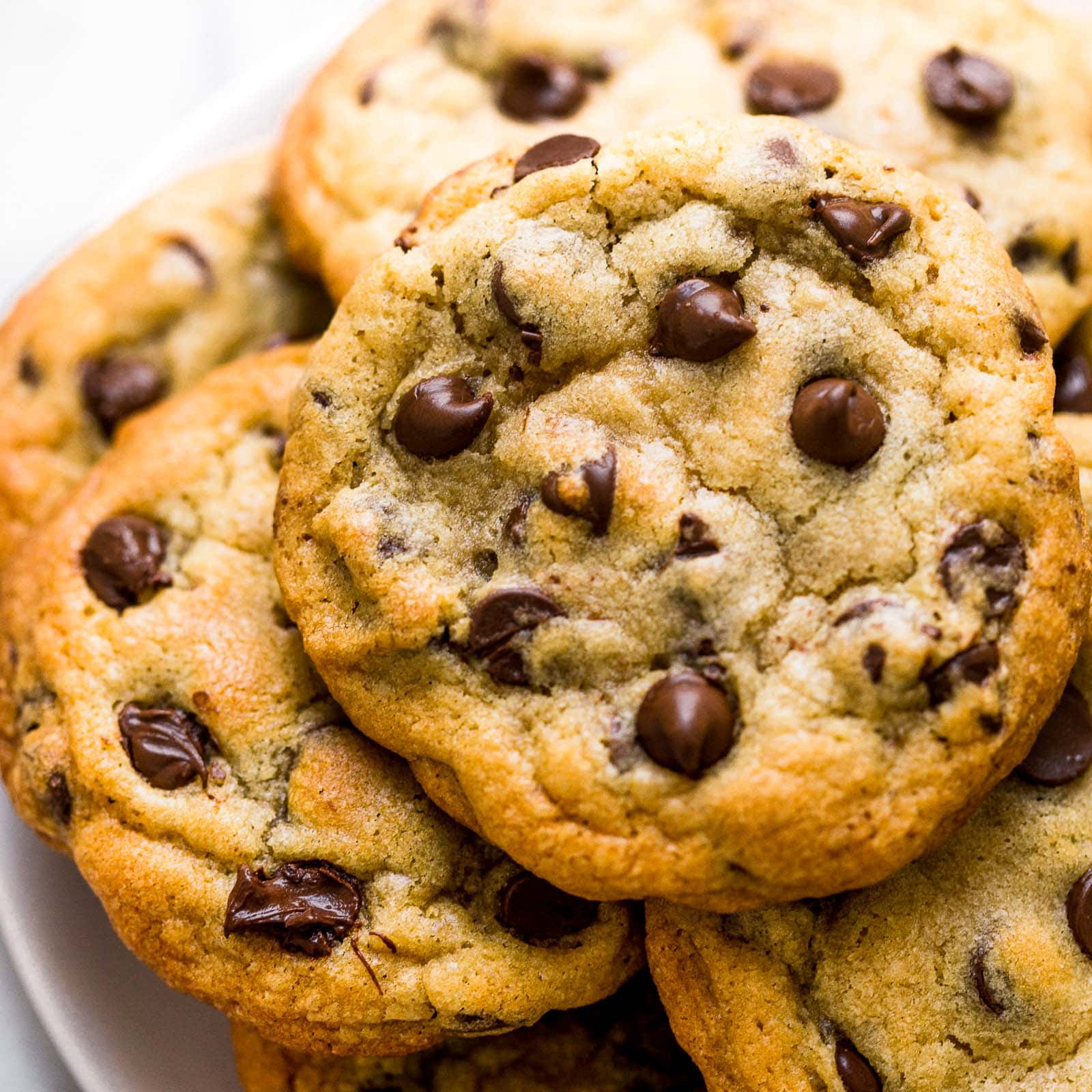 Which cookie is best: Sugar or Chocolate Chip?