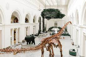 The best exhibits to see at the Field Museum