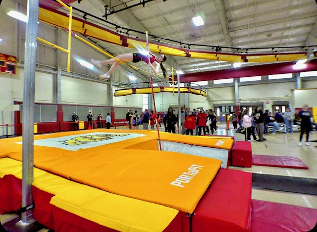 Pole Vaulting Unveiled: The Good, the Bad, and the Bungee Cords